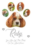 Pet Dog Cat Bereavement Loss Death Memory Poster Personalised Photos & Name. Fixed Price $17.71.