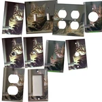American Pelo Corto Cat Switch Power Outlet Duplex Wall Cover Plate Home Decor. Fixed Price $11.99.