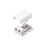 Telephone 2 Port Surface Mount Jack White Conductor 300-146WHT Steren. Fixed Price $10.99.